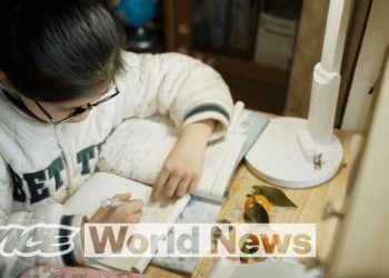 The Price of Education In China | Gen 跟 China