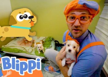 Blippi Pets Cute Animals in the Shelter! | Educational Videos for Kids