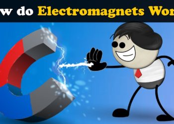 How do Electromagnets Work? + more videos | #aumsum #kids #science #education #children