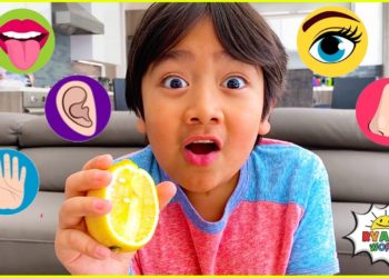 The Five Senses and more 1 hr kids educational learning video!