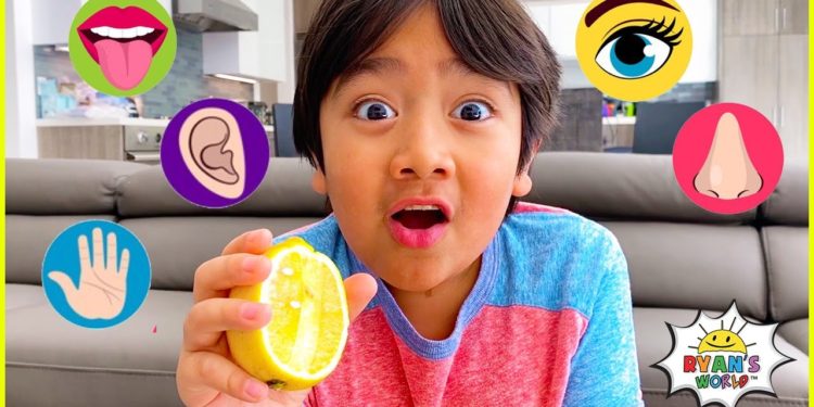 The Five Senses and more 1 hr kids educational learning video!