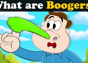 What are Boogers? + more videos | #aumsum #kids #science #education #whatif