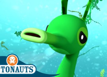 @Octonauts – Camouflage Operation | Cartoons for Kids | Underwater Sea Education