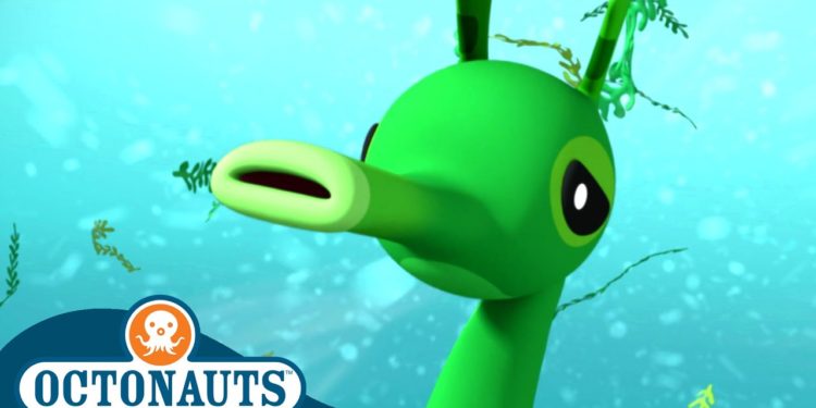 @Octonauts – Camouflage Operation | Cartoons for Kids | Underwater Sea Education