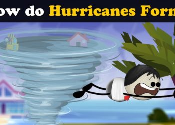 How do Hurricanes Form? + more videos | #aumsum #kids #science #education #children