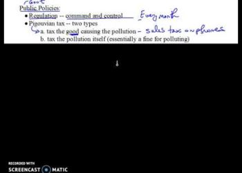 Externalities and Public Policy