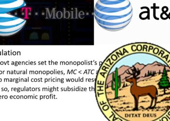 Public Policy Towards Monopolies