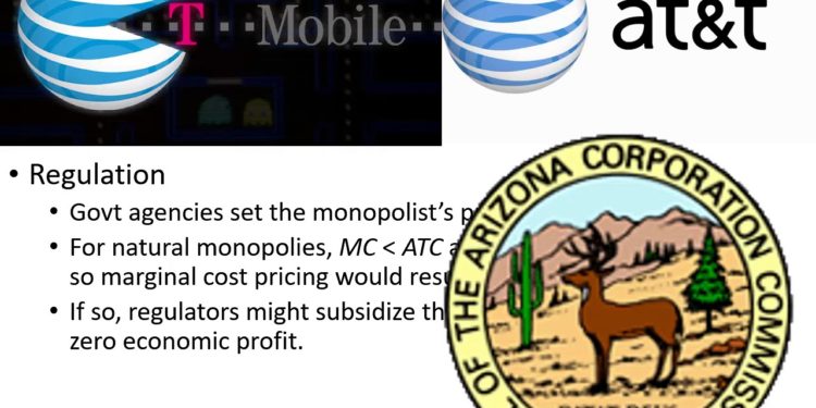 Public Policy Towards Monopolies