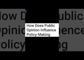 How does Public opinion Influence Public policy