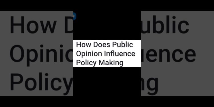 How does Public opinion Influence Public policy