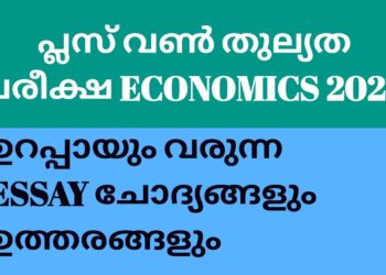 പ്ലസ് വൺ തുല്യത Economics ESSAY ചോദ്യങ്ങളും ഉത്തരങ്ങളും | Plus One Thulyatha Economics | #econlab