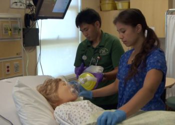 $4.6 million USA Funds grant propels UH workforce development