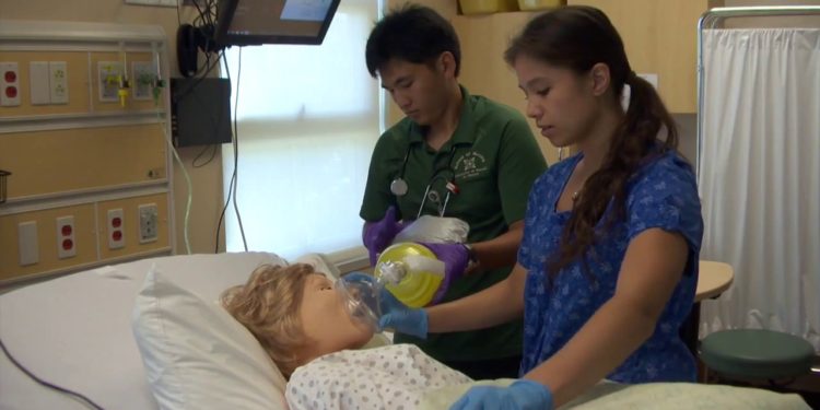 $4.6 million USA Funds grant propels UH workforce development