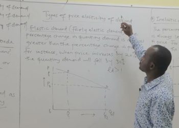 ECONOMICS:  ELASTICITY OF DEMAND (LESSON 1 of 2)