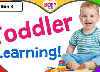 Educational Videos for Toddlers | 2 year old, 3 year old, 4 year old Learning Videos with Boey Bear