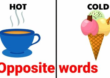 Opposite words in English | opposite words for preschoolers | Educational video | Antonym for kids