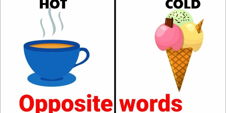 Opposite words in English | opposite words for preschoolers | Educational video | Antonym for kids
