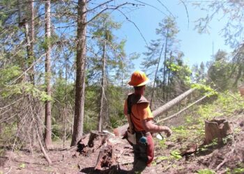 Mahon Logging Workforce Development Council 360° #AmGrad