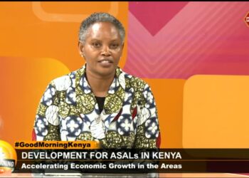 Dr. Ngugi on the mandate of the Kenya Institute for Public Policy Research and Analysis (KIPPRA)