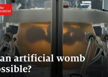 Are artificial wombs the future?