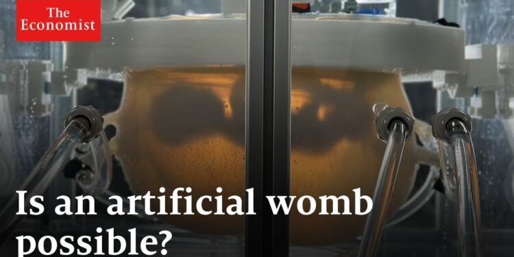 Are artificial wombs the future?