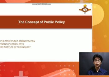 The Concept of Public Policy