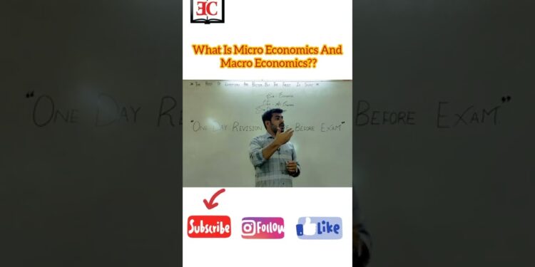 What is Micro Economics and What is Macro Economics?? #shorts #ecc #microeconomics #macroeconomics