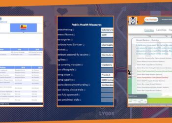 Public Policy Simulations