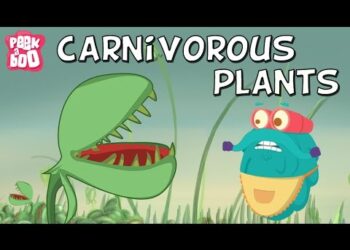 Carnivorous Plants | The Dr. Binocs Show | Educational Videos For Kids